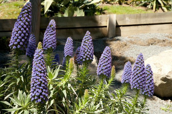 Réparation efficace de sanibroyeurs par plombier expert